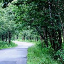 Munnar Trip From Bangalore 2N/3D ( 2N Munnar )